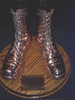 bronzed boots